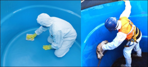 Limpieza y desinfeccion de agua