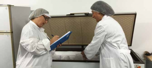 Auditoria y Asesoría